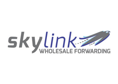 Skylink-Logo