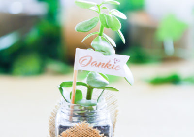 Decor-7